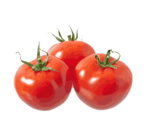 fresh-red-tomatoes